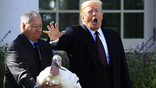 D.Trumpas suteikė malonę dviem Padėkos dienos kalakutams