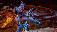 &bdquo;Cirque du Soleil&ldquo; &scaron;ou &bdquo;Toruk &ndash; The First Flight&ldquo;