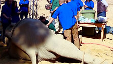 GR2