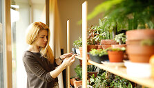 Kokedama &ndash; bevazonis sodinimo menas 