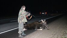 Avarijos vietoje