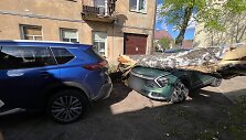 Gūsingo vėjo padariniai: Vilniaus Nočios g. ant ma&scaron;inos užvirto ilgametis beržas
