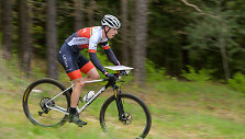 Jonas Mai&scaron;elis