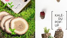 Kalėdų Pop Up dalyviai