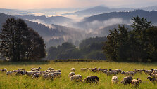 &Scaron;umava, Čekija
