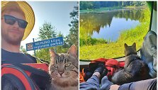 Ispanijoje augęs Renaldas į 500 km ilgio žygį &bdquo;Camino Lituano&ldquo; leidosi su katinu
