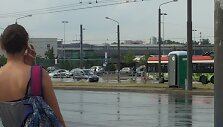 Liūtis Vilniuje