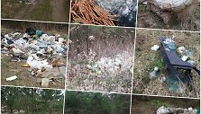 Koliažai su &scaron;iuk&scaron;lėmis &scaron;alia Karklėnų kaimo