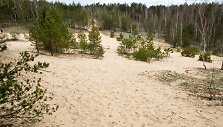 Bartku&scaron;kio kopa