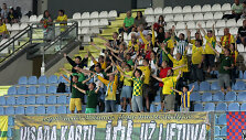 Lietuvos vyrų futbolo rinktinės sirgaliai