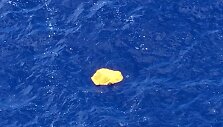 Gelbėjimosi liemenė i&scaron; Viduržemio jūroje nukritusio &bdquo;EgyptAir&ldquo; lėktuvo