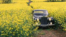 I&scaron;ori&scaron;kai automobiliai i&scaron;laikys originalią i&scaron;vaizdą. (Lunaz nuotrauka)