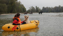 Mergina metė darbą, kad galėtų keliauti po pasaulį su savo &scaron;unimi
