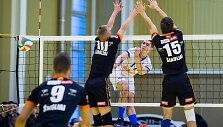 &bdquo;Flamingo-Volley&ldquo;