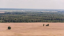 Mindaugo Dulinsko nuotrauka &bdquo;Tėvas palieka &scaron;eimą&ldquo; (2014 m., rugpjūtis).