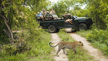 Safaris