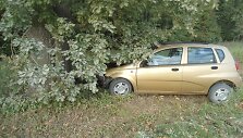 &bdquo;Daewoo&ldquo; trenkėsi į ąžuolą