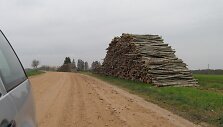 Sandėliuojama mediena