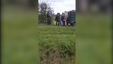 613078a9dbb4avideo_6130789534519