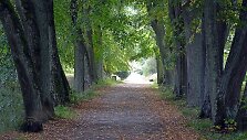 Ry&scaron;kiaspalvė rudens gamta