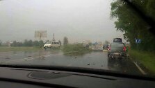 Nulaužtas medis kelyje Palanga&ndash;Kretinga