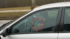 Vairuotojas su &scaron;uniuku ir telefonu