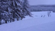 Itin gausiai prisnigo Lenkijoje