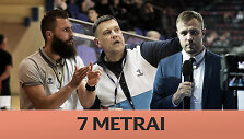 Rankinio tinklalaidė &bdquo;7 metrai&ldquo;