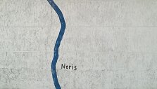 Nespecialus tyrimas: kiek Nerių teka Vilniumi