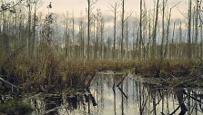 Kitą savaitę sostinės Prospekto galerijoje &ndash; fotografijų paroda apie Visaginą