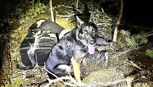 Druskininkų pasieniečiai perėmė su kontrabanda Baltarusijoje paleistus droną ir balioną 