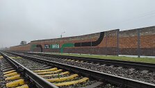 &Scaron;iaulių sienutė