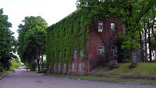 Kuliai