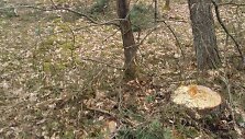 Mi&scaron;ko sąvartynas netoli Bezdonių
