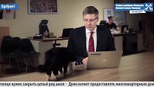tiesiogines-transliacijos-metu-kate-rygos-merui-iskrete-kurioza