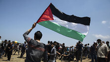 Palestinos vėliava