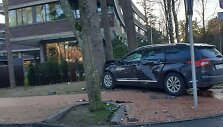 Po smūgio &bdquo;Citroen&ldquo; trenkėsi į medį.