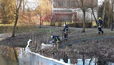 Salantuose, Kretingos rajone, specialistai ie&scaron;koma tar&scaron;os &scaron;altinio