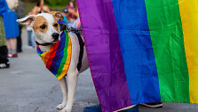 LGBT bendruomenės &bdquo;Už lygybę!&ldquo; koncertas