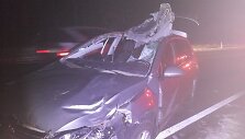 &Scaron;alia Perlojos automobilis susidūrė su briedžiu