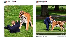 Donaldas Trumpas dalijasi dirbtinio intelekto sugeneruotais vaizdais su tigru