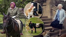 Elizabeth II laidotuvėse pagarbą atidavė jos augintiniai