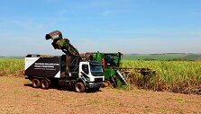 Savavaldis &bdquo;Volvo&ldquo; sunkvežimis cukranendrių lauke Brazilijoje