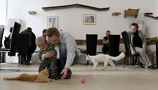 Kačių kavinės visame pasaulyje
