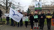 Prie Seimo piketuoja &scaron;imtai jaunuolių: nenori kalėjimo dėl kanapių suktinės