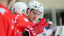 Dovydas Kulevičius
