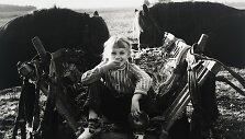 Vienkiemio vaikai, 1980