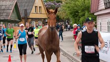 Kumelaitė trasoje