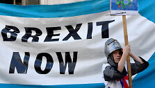 Už &bdquo;Brexit&ldquo; pasisakantis demonstracijos dalyvis