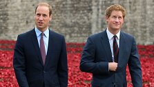 Princas Williamas ir princas Harry